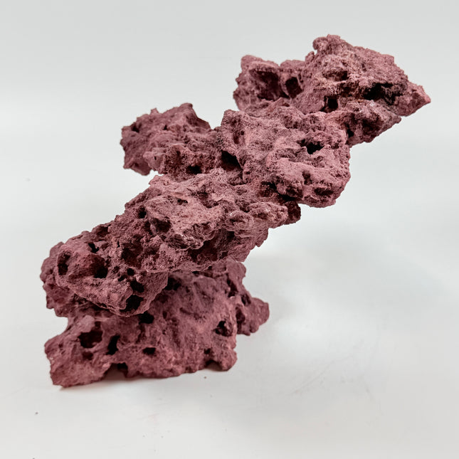 WYSIWYG Coraline Reef Rock #40