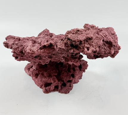 WYSIWYG Coraline Reef Rock #40