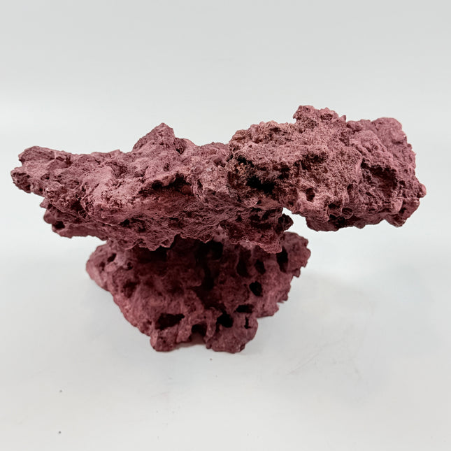 WYSIWYG Coraline Reef Rock #40