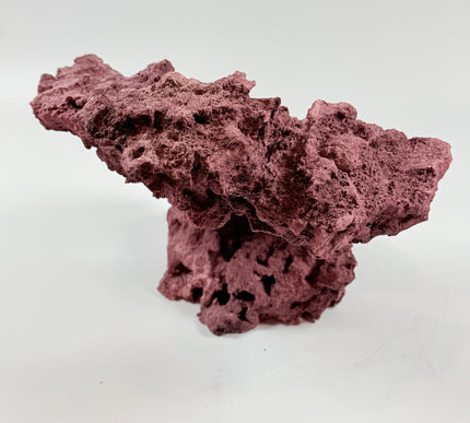 WYSIWYG Coraline Reef Rock #40