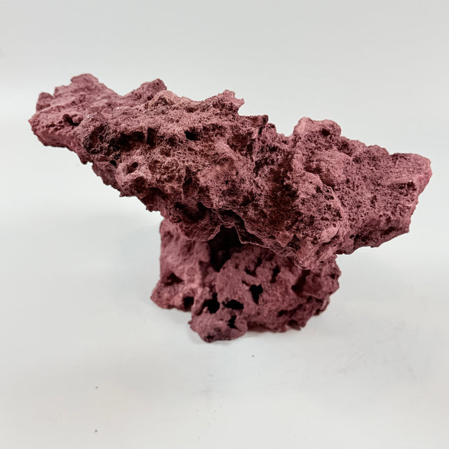 WYSIWYG Coraline Reef Rock #40