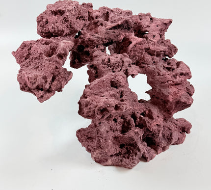 WYSIWYG Coraline Reef Rock #40