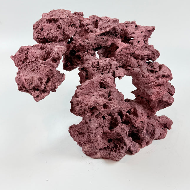 WYSIWYG Coraline Reef Rock #40