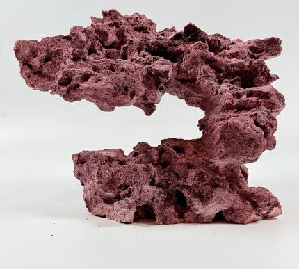 WYSIWYG Coraline Reef Rock #40