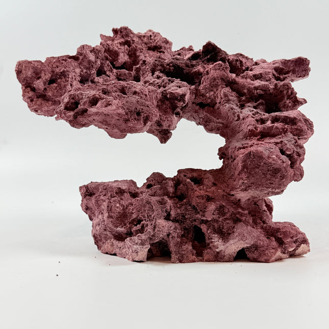 WYSIWYG Coraline Reef Rock #40