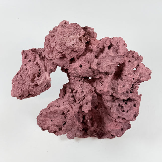 WYSIWYG Coraline Reef Rock #40