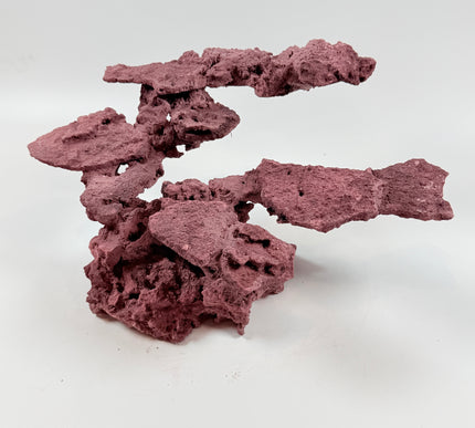 WYSIWYG Coraline Reef Rock #41