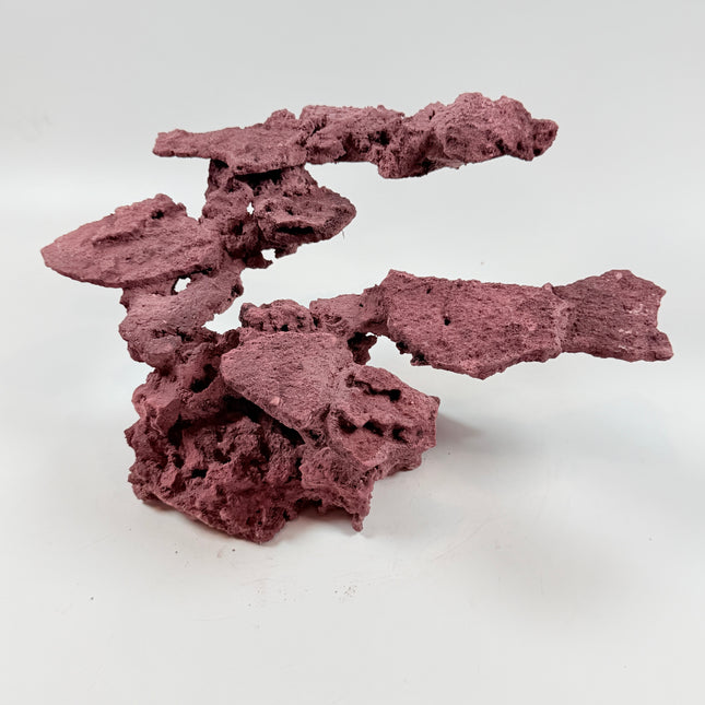 WYSIWYG Coraline Reef Rock #41