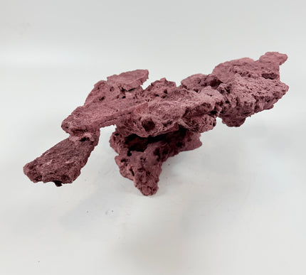 WYSIWYG Coraline Reef Rock #41