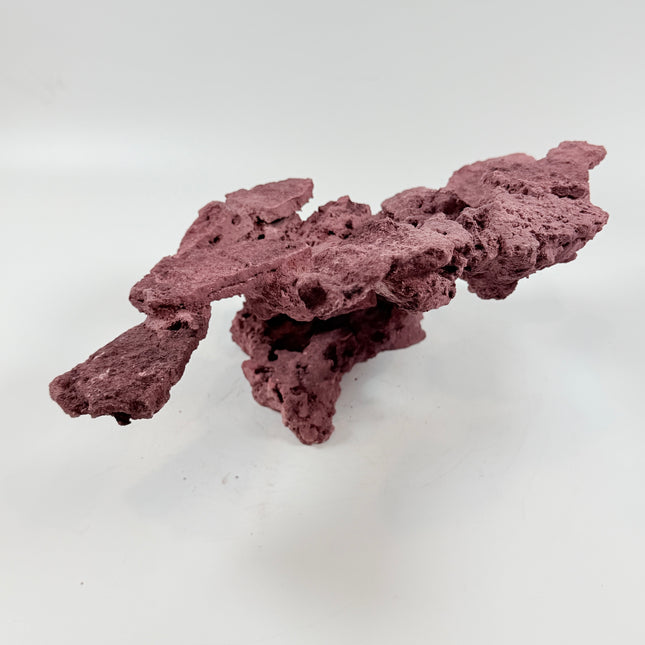 WYSIWYG Coraline Reef Rock #41