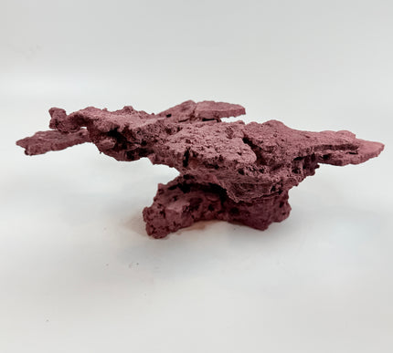 WYSIWYG Coraline Reef Rock #41