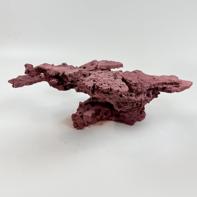 WYSIWYG Coraline Reef Rock #41
