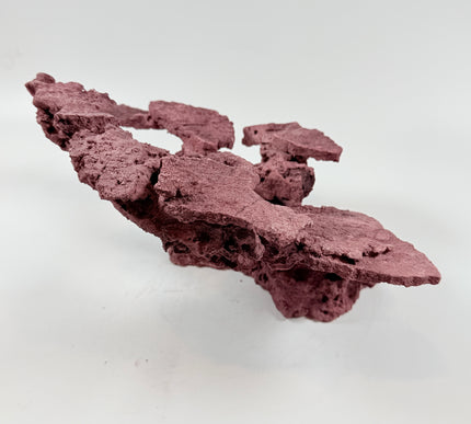 WYSIWYG Coraline Reef Rock #41