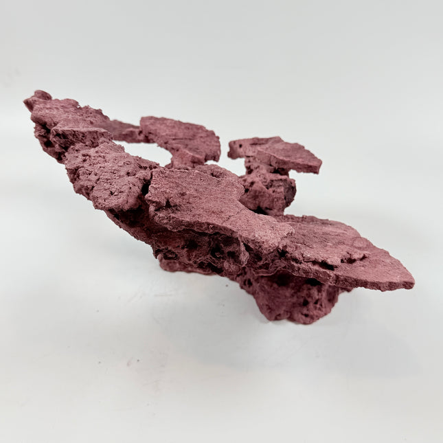 WYSIWYG Coraline Reef Rock #41