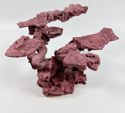 WYSIWYG Coraline Reef Rock #41