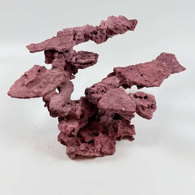 WYSIWYG Coraline Reef Rock #41