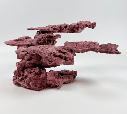 WYSIWYG Coraline Reef Rock #41