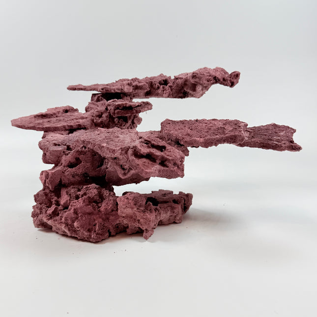 WYSIWYG Coraline Reef Rock #41