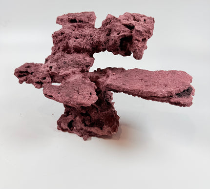 WYSIWYG Coraline Reef Rock #42