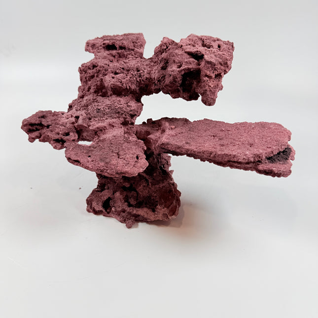 WYSIWYG Coraline Reef Rock #42
