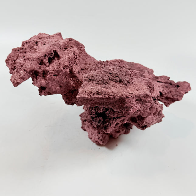 WYSIWYG Coraline Reef Rock #42