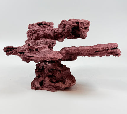 WYSIWYG Coraline Reef Rock #42