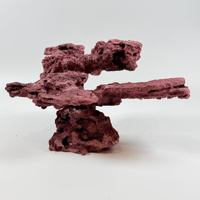 WYSIWYG Coraline Reef Rock #42