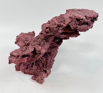 WYSIWYG Coraline Reef Rock #43