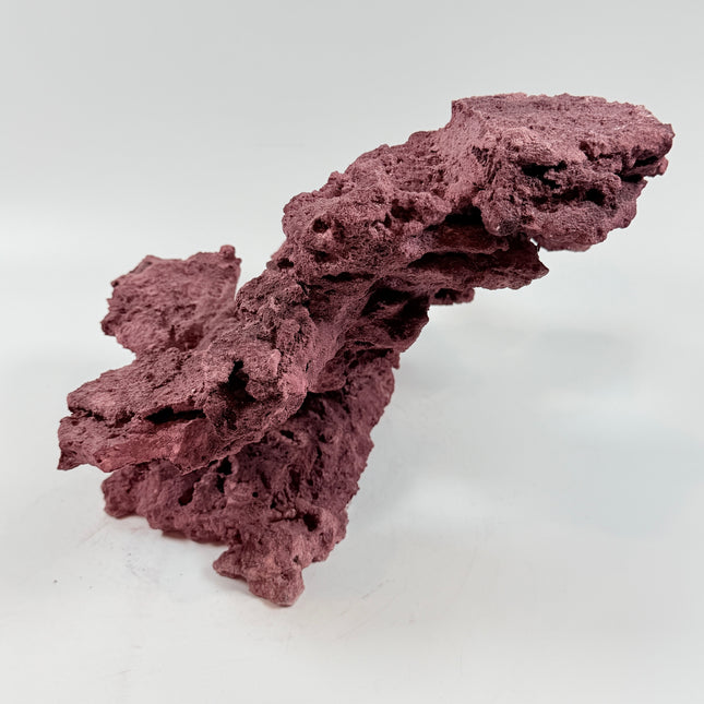 WYSIWYG Coraline Reef Rock #43