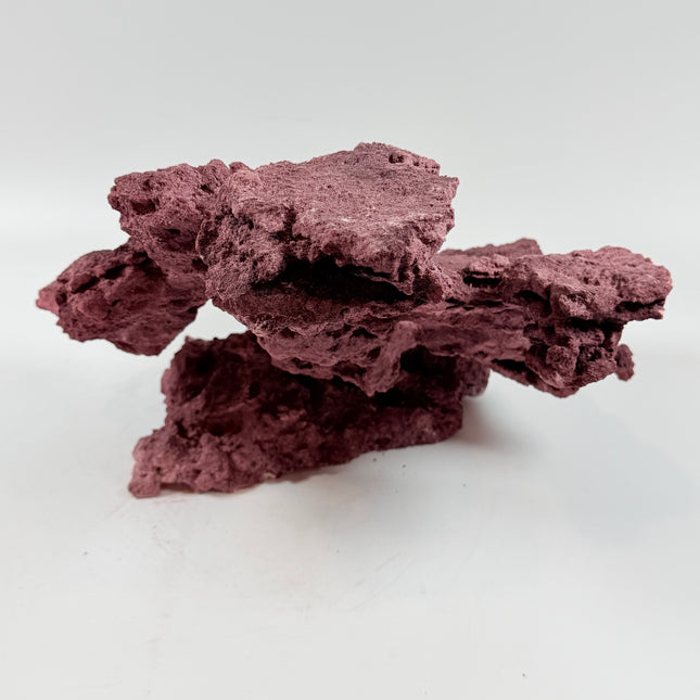 WYSIWYG Coraline Reef Rock #43