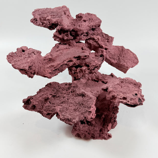 WYSIWYG Coraline Reef Rock #43
