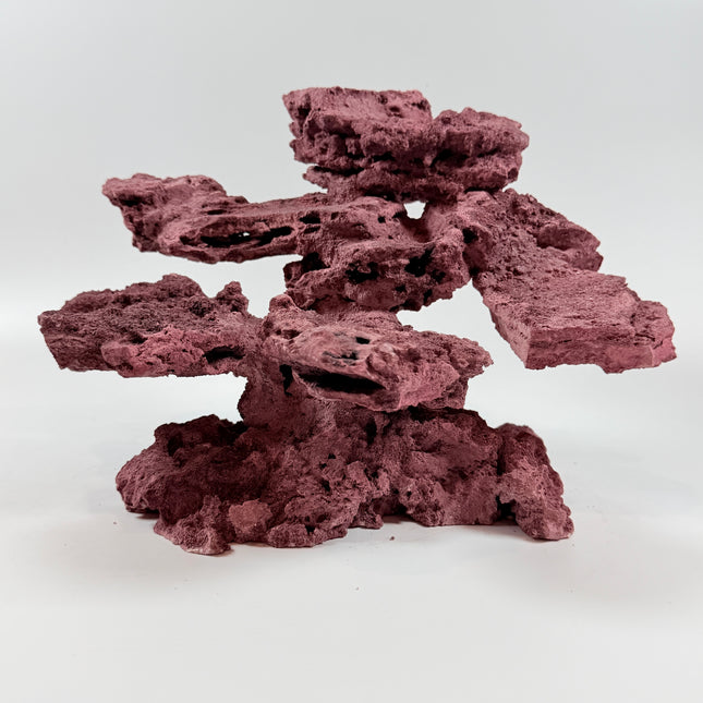 WYSIWYG Coraline Reef Rock #43