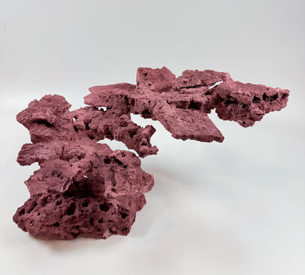 WYSIWYG Coraline Reef Rock #44
