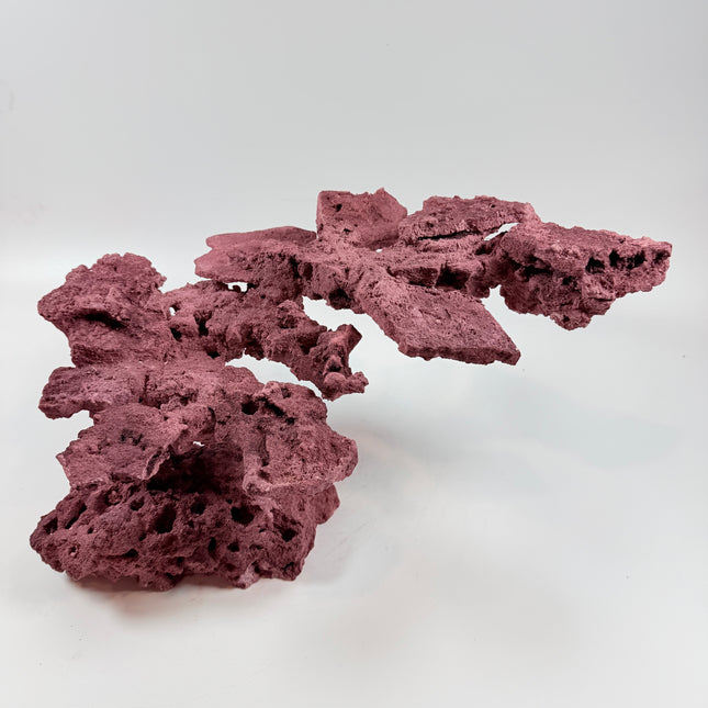 WYSIWYG Coraline Reef Rock #44