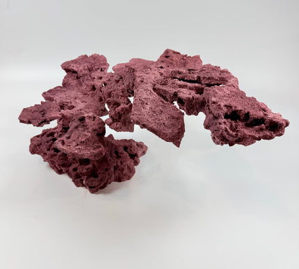 WYSIWYG Coraline Reef Rock #44