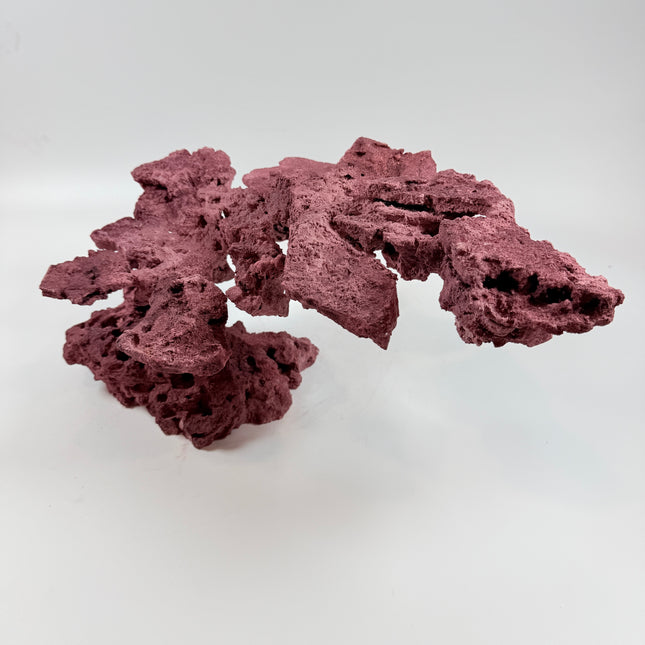 WYSIWYG Coraline Reef Rock #44
