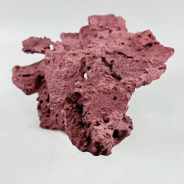 WYSIWYG Coraline Reef Rock #44