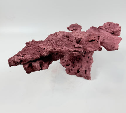 WYSIWYG Coraline Reef Rock #44