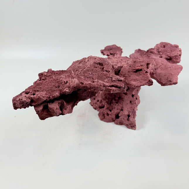 WYSIWYG Coraline Reef Rock #44