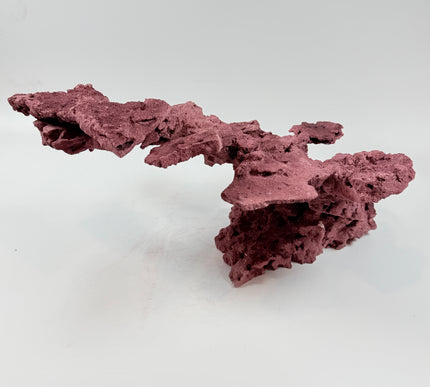WYSIWYG Coraline Reef Rock #44