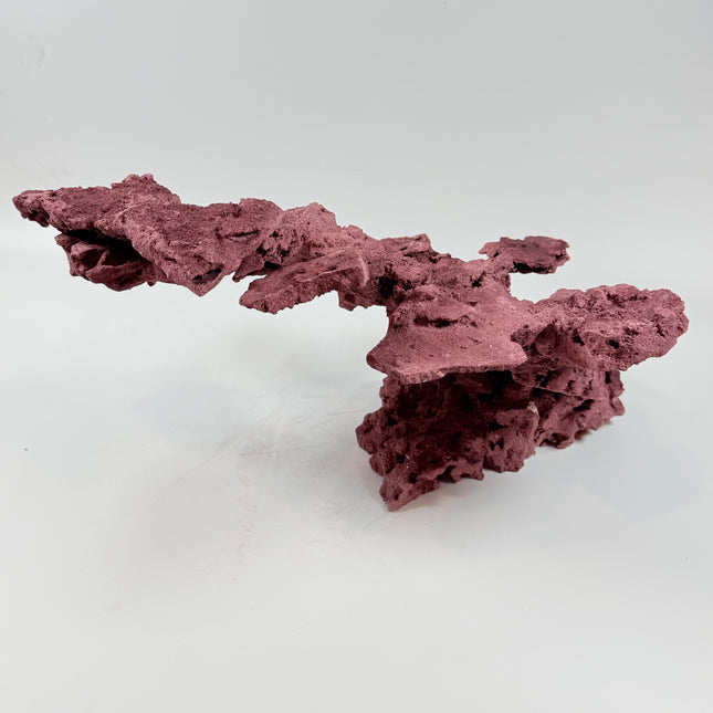WYSIWYG Coraline Reef Rock #44