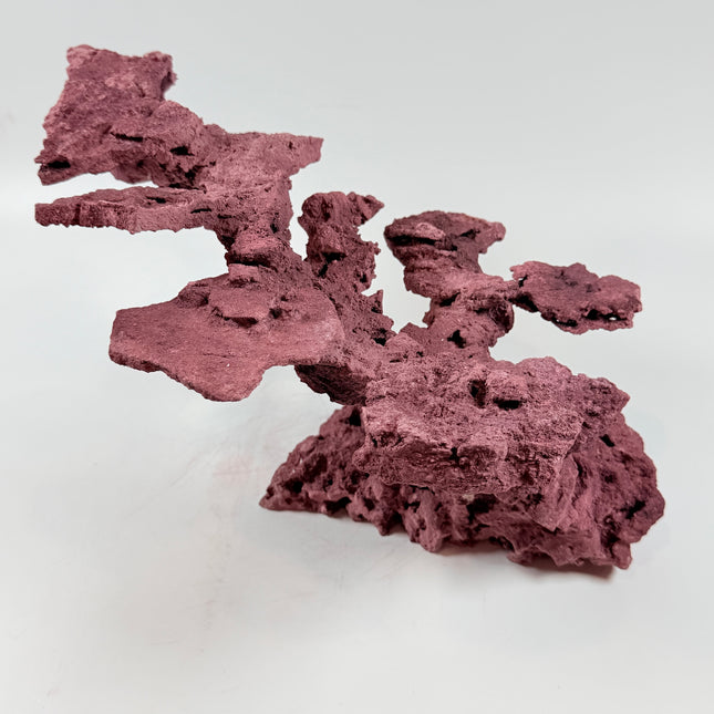 WYSIWYG Coraline Reef Rock #44
