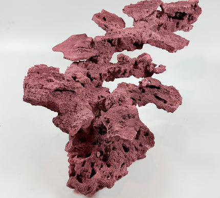 WYSIWYG Coraline Reef Rock #44