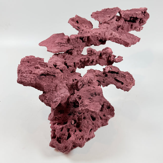 WYSIWYG Coraline Reef Rock #44