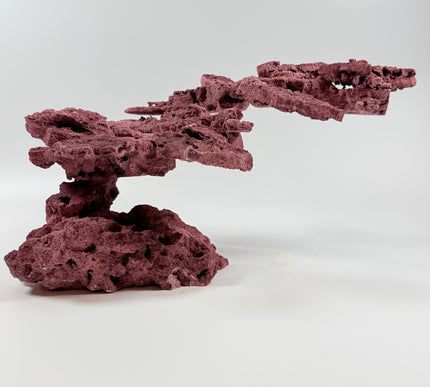 WYSIWYG Coraline Reef Rock #44
