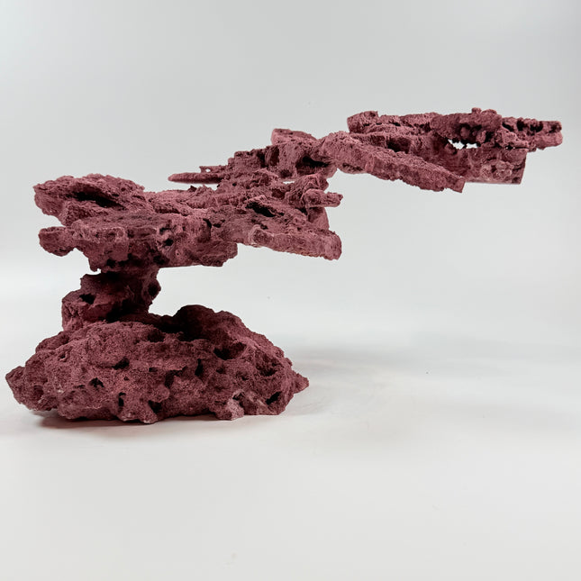 WYSIWYG Coraline Reef Rock #44