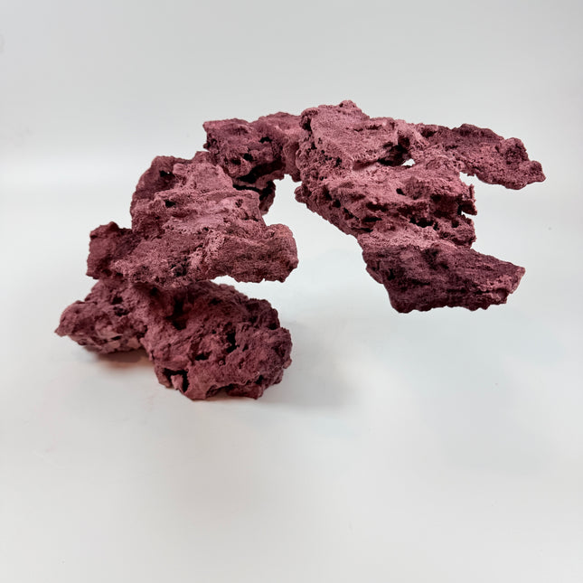 WYSIWYG Coraline Reef Rock #45