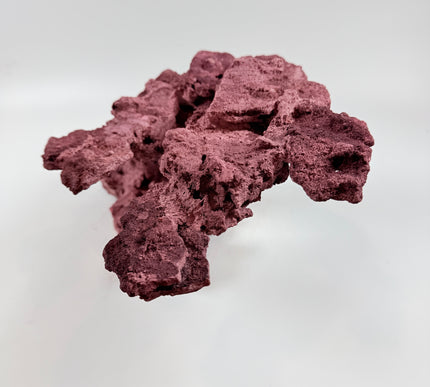 WYSIWYG Coraline Reef Rock #45