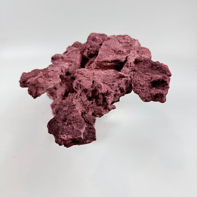 WYSIWYG Coraline Reef Rock #45