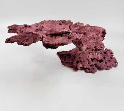 WYSIWYG Coraline Reef Rock #45